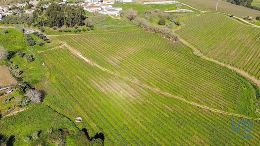 Land in Torres Vedras, Lisbon