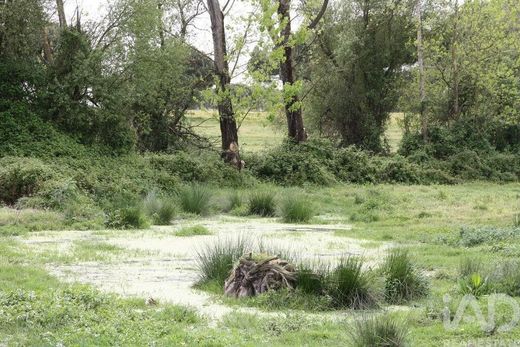 Grond in Águas de Moura, Palmela