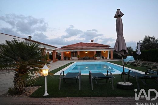 Casa di lusso a Água Todo o Ano, Ponte de Sor