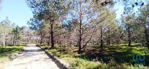 Terreno en Vila do Bispo e Raposeira, Vila do Bispo