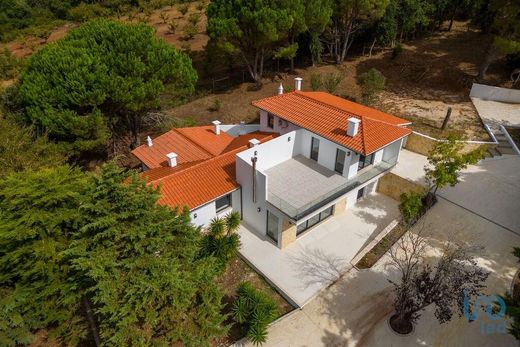 Maison de luxe à A dos Francos, Caldas da Rainha