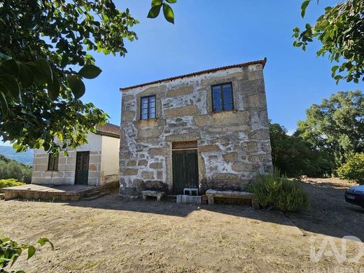 Farm in Longa, Tabuaço