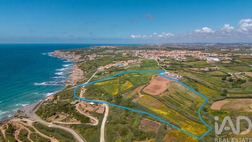 Arsa São Pedro da Cadeira, Torres Vedras