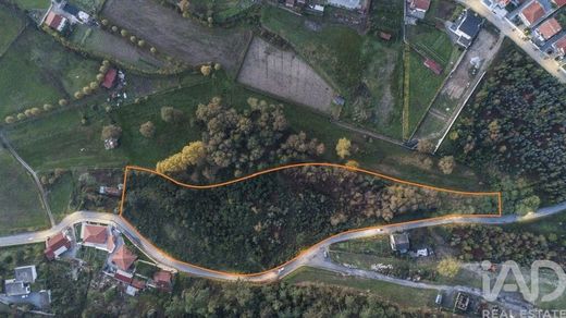 Teren w Boim, Lousada