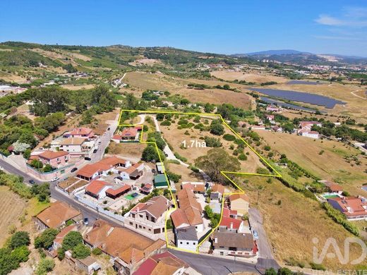 Farm in Alenquer, Lisbon