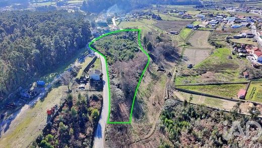 Teren w Boim, Lousada