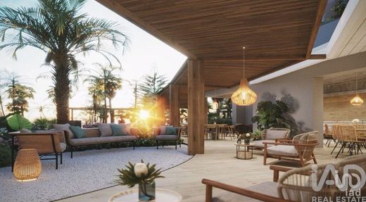 아파트 / Funchal, Madeira