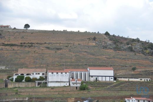 Farm in Vila Flor, Bragança