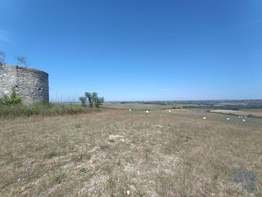 Azoia de Baixo, Santarémの土地