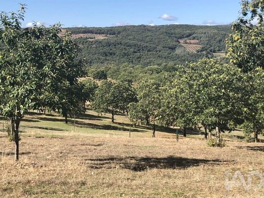 Farm in Parâmio, Bragança