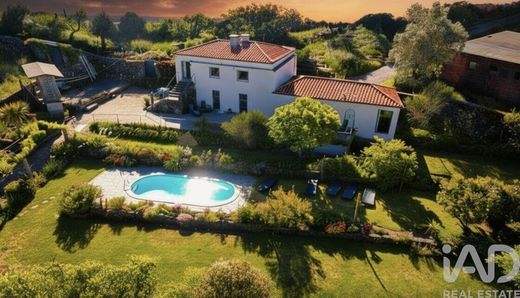 Çiftlik evi São Vicente de Lafões, Oliveira de Frades