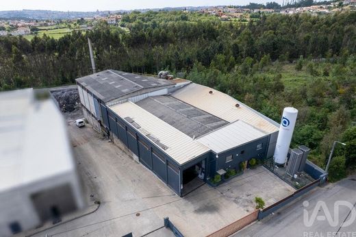 Luxe woning in Oliveira de Azeméis, Distrito de Aveiro