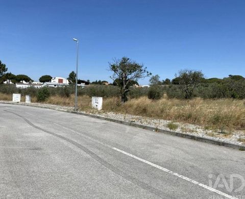 토지 / Alcácer do Sal, Distrito de Setúbal