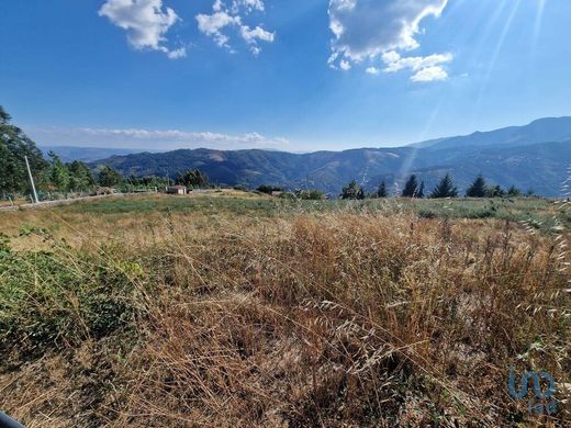 Land in Torgueda, Vila Real