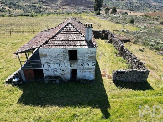 Farm in Vila Flor, Bragança