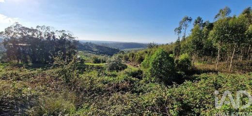 Arsa Igreja Nova e Cheleiros, Mafra