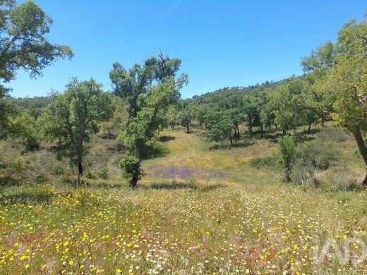 Участок, Melides, Grândola