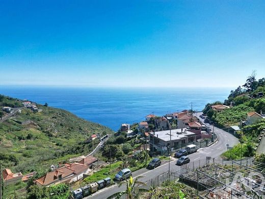 Teren w Câmara de Lobos, Madeira