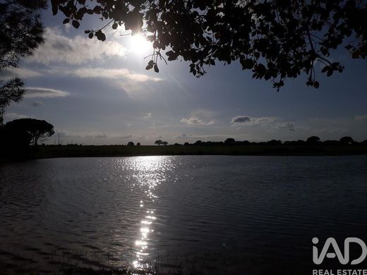 Grond in Palmela, Distrito de Setúbal