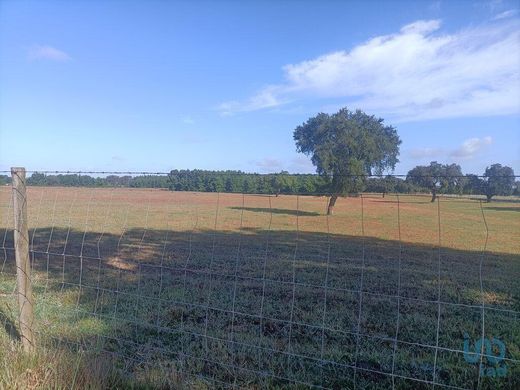 Terreno a Pegões, Montijo