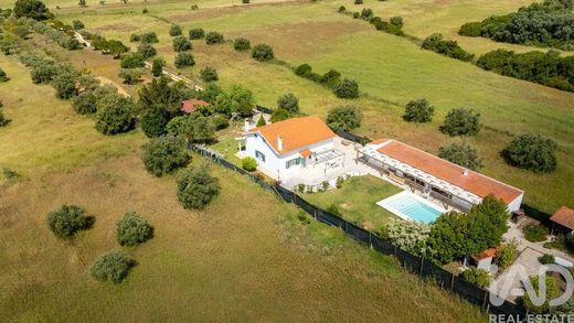 Luxury home in Almoster, Santarém