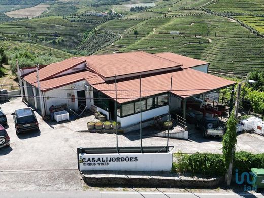 农场  Casais do Douro, São João da Pesqueira