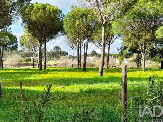 토지 / Grândola, Distrito de Setúbal