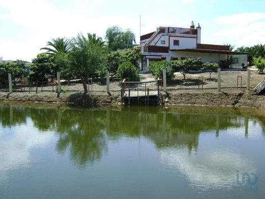 Land in Cabeça Gorda, Beja