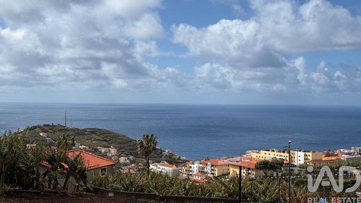 Apartment in Câmara de Lobos, Madeira