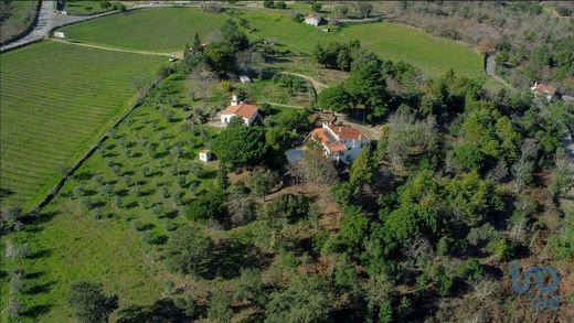 Casa de luxo - Laranjeiras, Portalegre