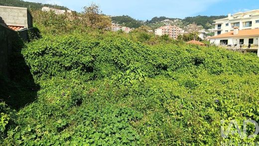 토지 / Caniço, Santa Cruz