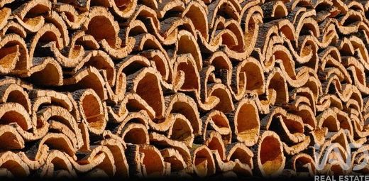 토지 / Grândola, Distrito de Setúbal