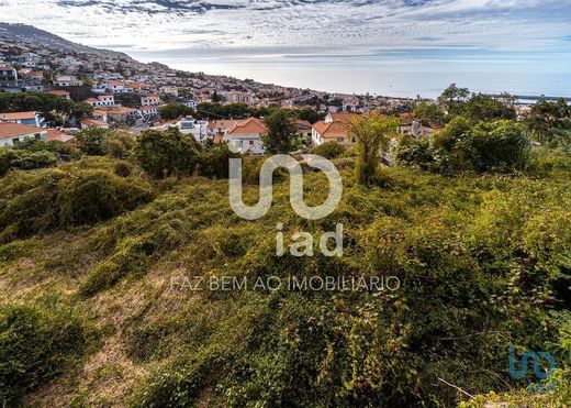 Funchal, Madeiraの土地