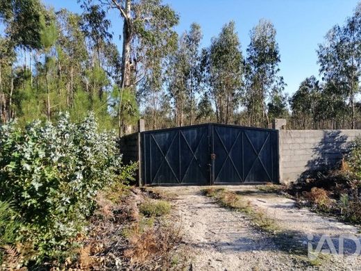 Land in Moinhos, Leiria