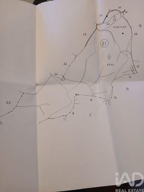 Bauernhof in Santa Clara-a-Velha, Odemira