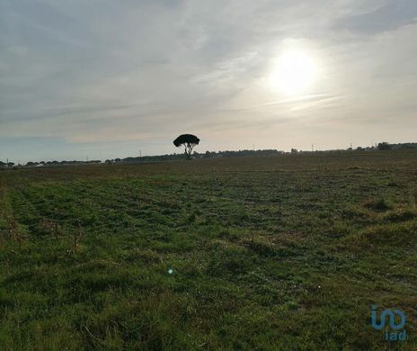 Terreno en Pegões, Montijo