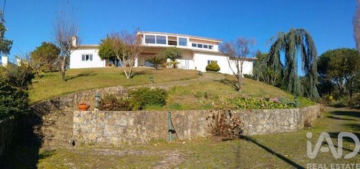 Luxe woning in Oliveira de Azeméis, Distrito de Aveiro