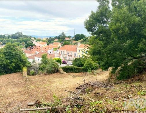 Land in Sintra, Lisbon