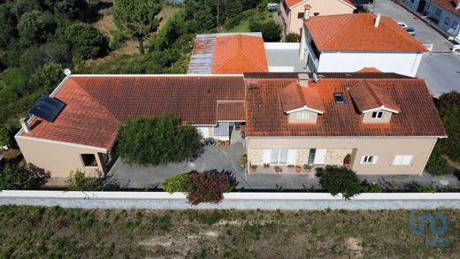 Luxe woning in Figueiró dos Vinhos, Figueiró Dos Vinhos