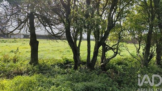 Grond in Rabo de Peixe, Ribeira Grande