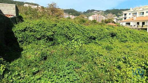 Terreno en Caniço, Santa Cruz