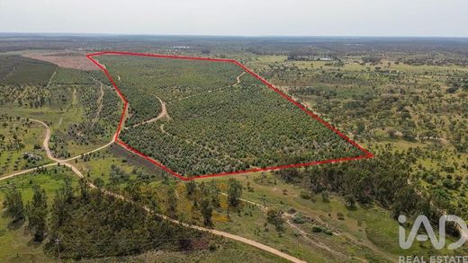 Land in Bemposta, Abrantes