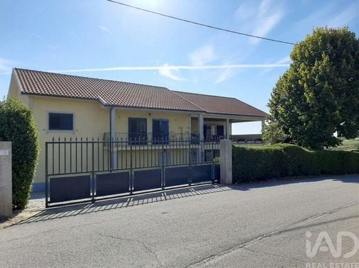 Farma w Sabrosa, Distrito de Vila Real