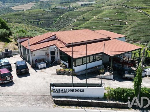 Farm in Ervedosa do Douro, São João da Pesqueira