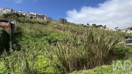 Land in Funchal, Madeira