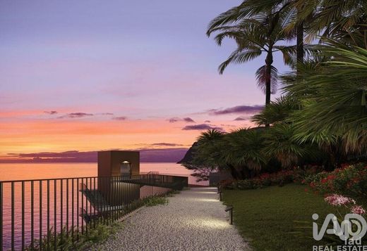 아파트 / Funchal, Madeira