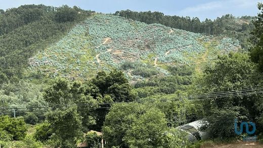 Terreno - Carvalhosa, Marco de Canaveses