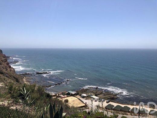 Grond in Assenta, Rio Maior