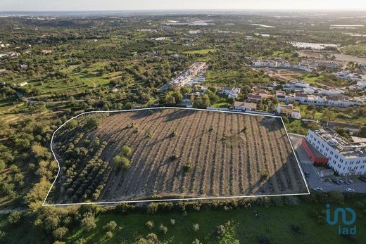 Teren w Conceição e Estoi, Faro