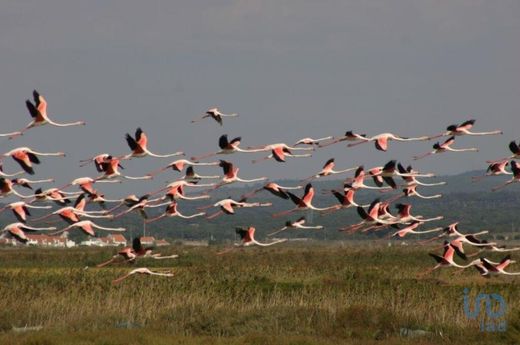 Grundstück in Setúbal, Distrito de Setúbal